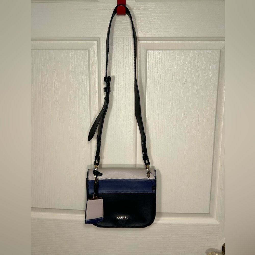 Carpisa purse 